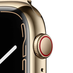 Location APPLE Watch Series 7 boîtier en Acier Inoxydable Or bracelet Milanais Or | APPLE