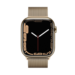 Location APPLE Watch Series 7 boîtier en Acier Inoxydable Or bracelet Milanais Or | APPLE