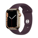 Location APPLE Watch Series 7 boîtier en Acier Inoxydable Or bracelet Sport Cerise Noire | APPLE