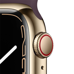 Location APPLE Watch Series 7 boîtier en Acier Inoxydable Or bracelet Sport Cerise Noire | APPLE